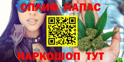 гидра Боровичи