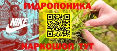 гидра Боровичи