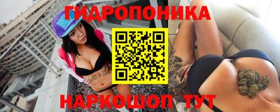 гидра Боровичи