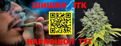 крисы Братск
