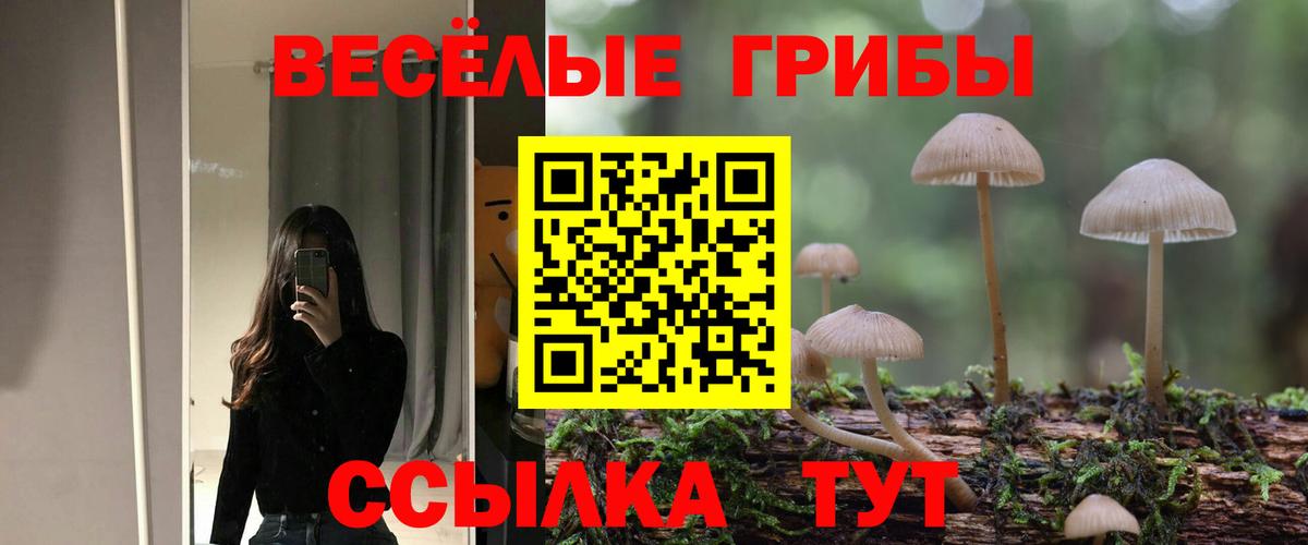 Когалым  Псилоцибиновые грибы Magic Shrooms  Вход с VPN  Галлюциногенные грибы Magic Shrooms 