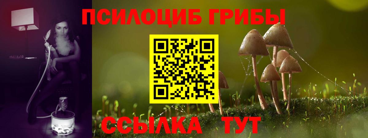 Галлюциногенные грибы Psilocybine cubensis Когалым